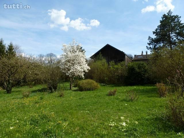 Belle ferme ancienne , Bernex