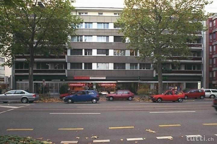 Moderne Wohnung Nähe Schützenmattpark