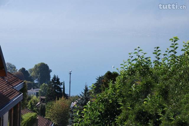 Bel appartement neuf de 3.5 pièces Environnem