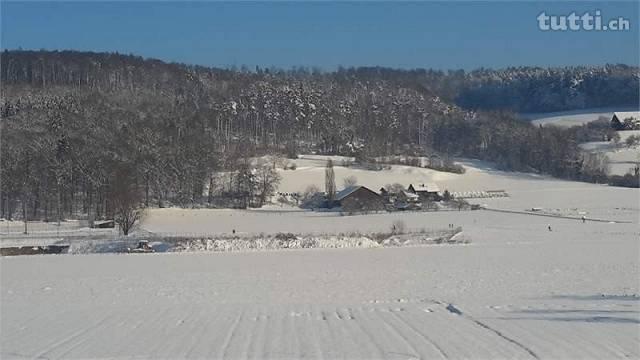 Traumhafte Attikawohnung mit toller Aussicht