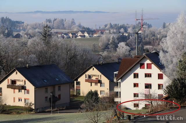 zentrale, ruhige und kinderfreundliche Lage