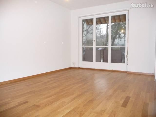 1 Zimmer Wohnung mit Balkon, Nähe Triemli