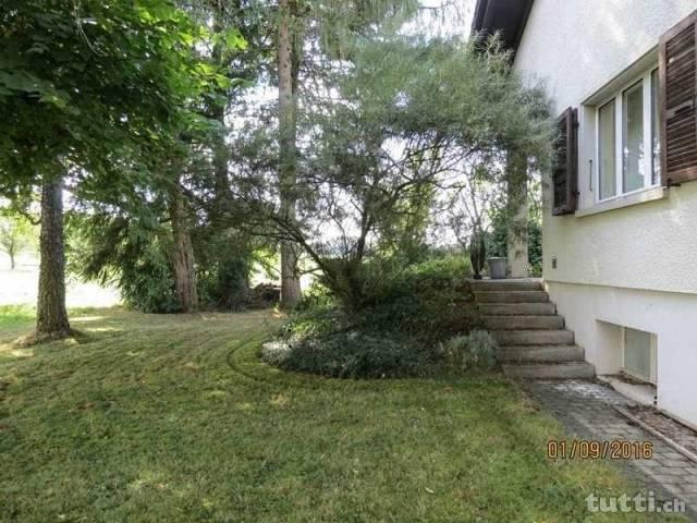 Maison en lisière agricole pour amoureux de l