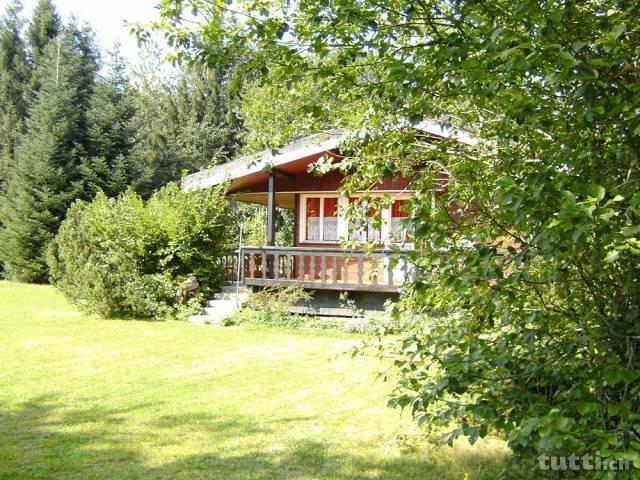 Petit chalet très calme à la lisière des terr