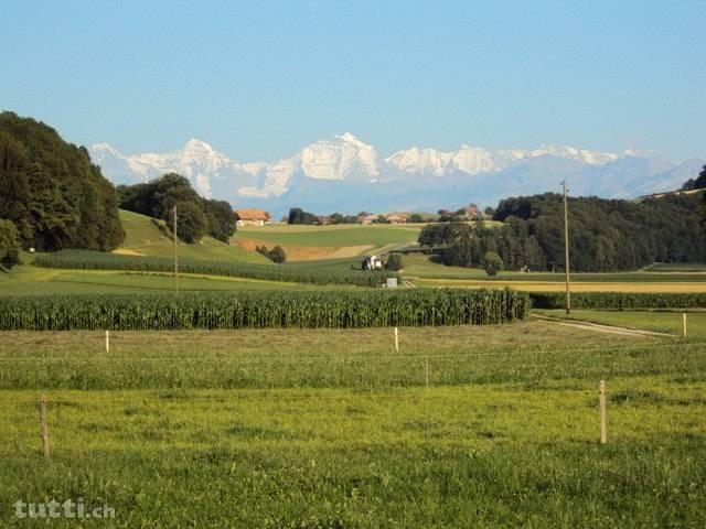 Wohnen mit Alpenpanorama