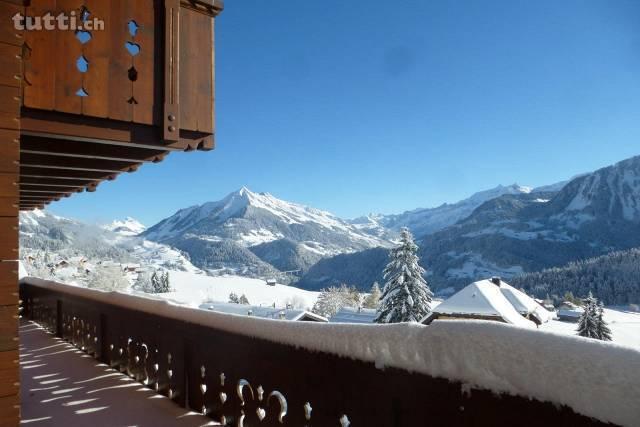 Magnifique chalet au pieds des pistes reparti