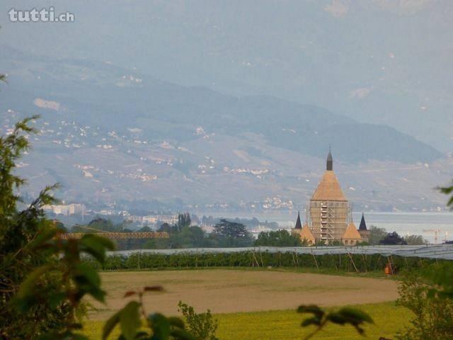 Chantier ouvert Bussy-Chardonney - Le Clos