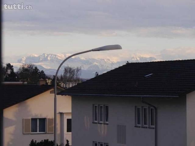 Helle 3 Zi.-Wohnung in Höngg, möbliert, März