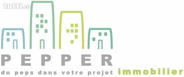 Immeuble de 4 appartements et surface commerc