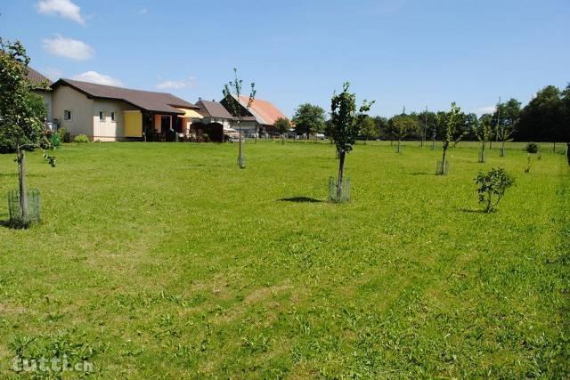 Maison dans la campagne avec piscine et jacuz