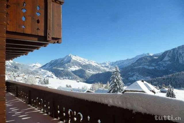 Magnifique chalet au pieds des pistes avec vu