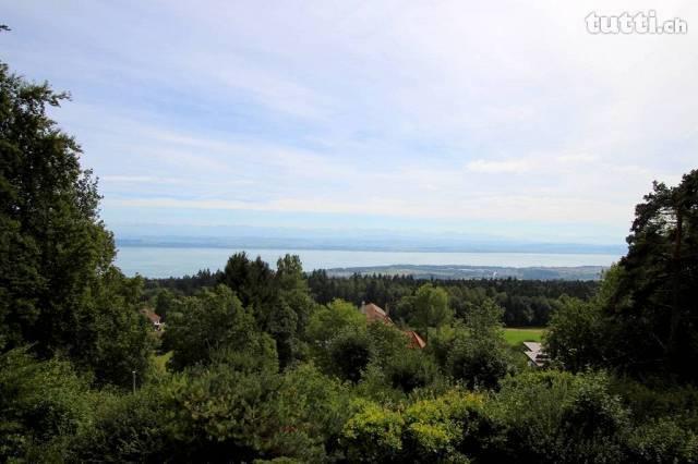 Montmollin : Vue panoramique sur le lac et in