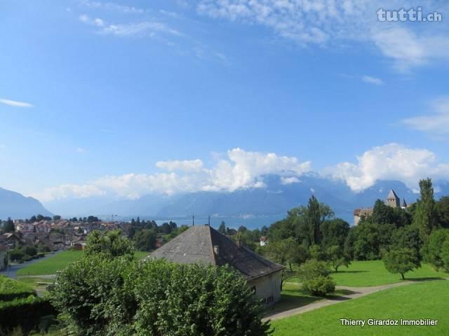 Maison de 320 m2 avec vue, calme et situation