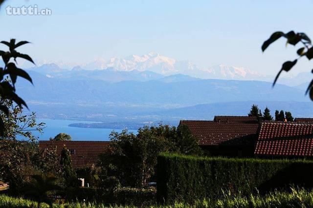 Lumineuse villa jumelle de 5,5 pièces avec vu