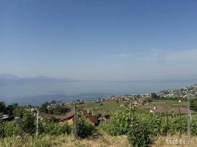 Au coeur du Lavaux - Villa contemporaine d'en