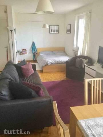 Central City Furnished Apartment - 01.05-31.1