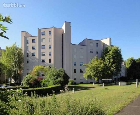 groszügige Wohnung mit schöner Aussicht