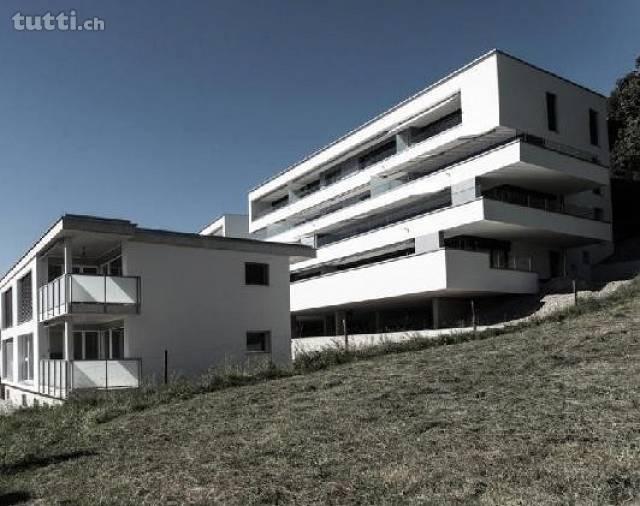 NEUBAU Terrassenwohnung mit grosser Terrasse