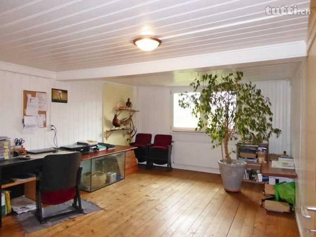 Frisch renovierte 3.5 Zimmer-Wohnung