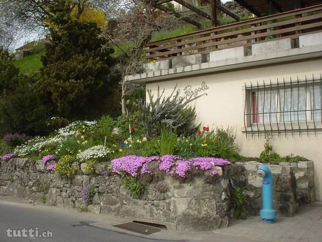 zentral gelegenes renovationsbedürftiges Haus