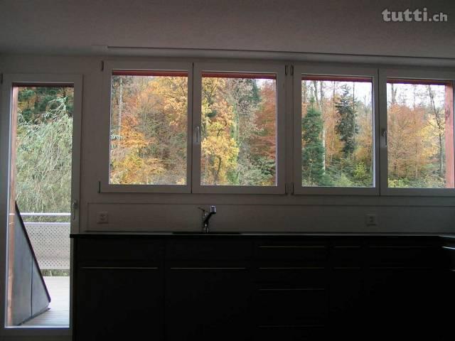 lichtdurchflutete 3.5 Zimmer Dachwohnung neu