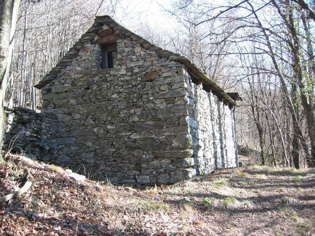 Rustico / cascina Weinberg Aurigeno Maggia