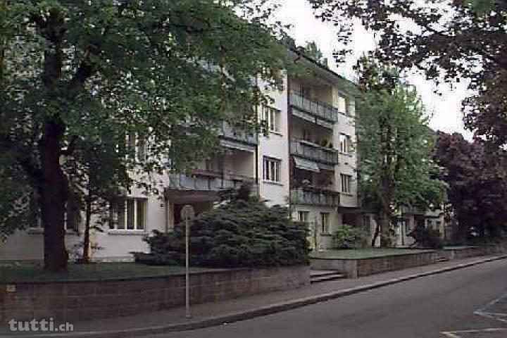 Schöne neu renovierte Wohnung im Gellert