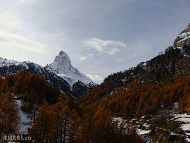 Zermatt im Zentrum 2,5 Z'Wohnung zu vermieten