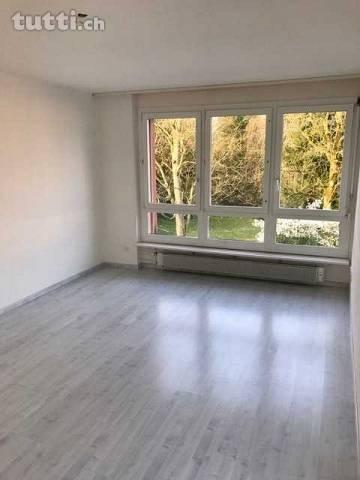 Gemütliche Wohnung in ruhigem Quartier