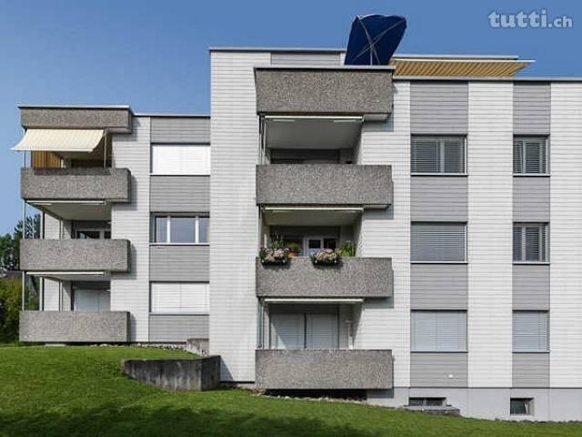 Gemütliche Wohnung mit Cheminée