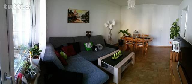 3.5 Zimmerwohnung im Breitenrainquartier