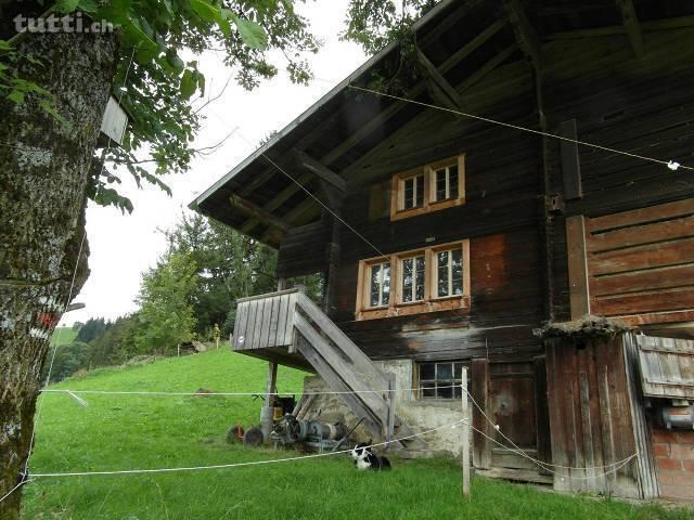 Wohnung in Weidhaus