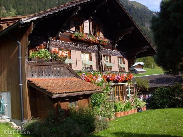 2,5 Zimmer - Wohnung zu vermieten in Gstaad