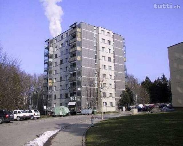 Gemütliche Wohnung mit grosszügigem Grundriss