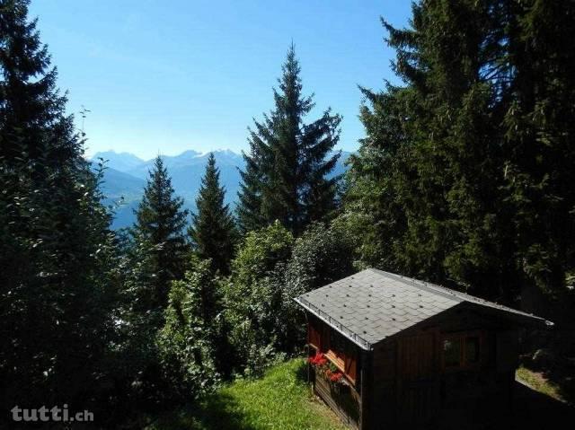 Superbe chalet au coeur de la forêt