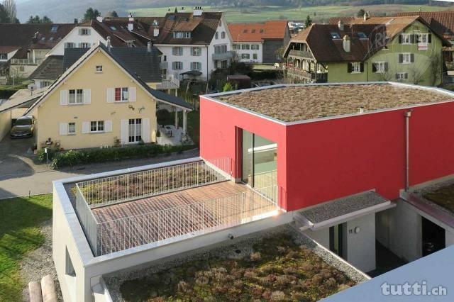 Pure Architektur - Neues Einfamilienhaus in M