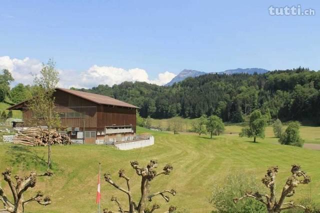 Wohnen mit Ausblick ins Grüne