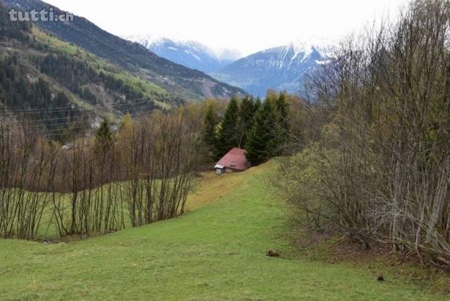 Maiensäss / Alphütte bei erbad