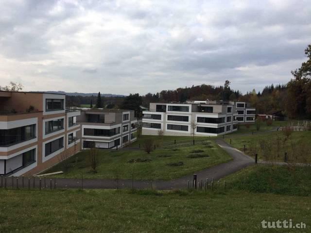 Top moderne Attikawohnung im schönen Wettswil