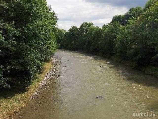 An idyllischer Wohnlage direkt an der Sihl