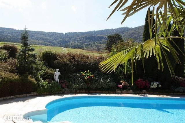 Havre de paix entouré de verdure avec piscine