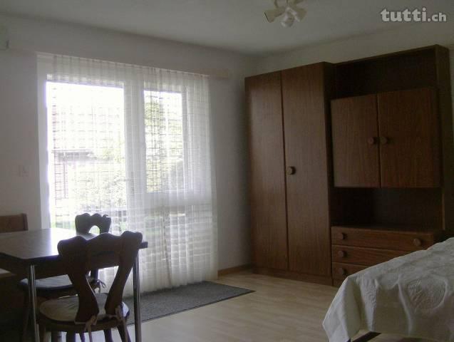 grosse, teils neurenovierte 1 Zimmerwohnung