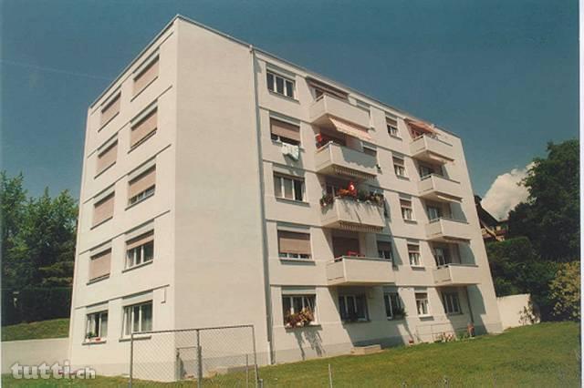 Appartement partiellement rafraichi de 1 pièc