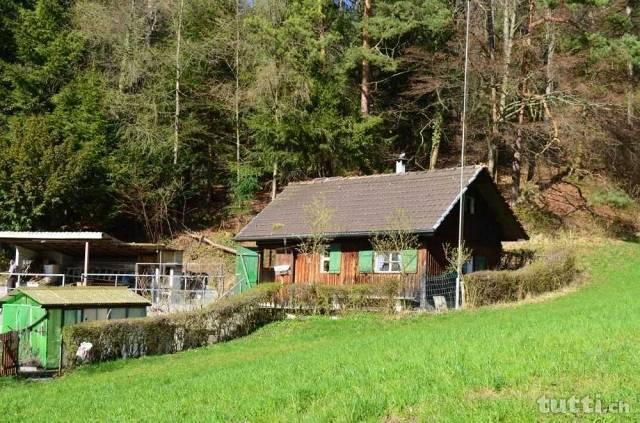 FERIEN- UND WOCHENENDHAUS FÜR NATURLIEBHABER