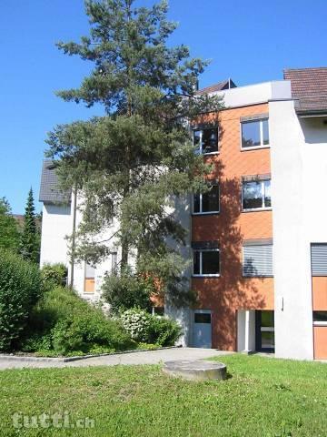 3.5-ZR-Wohnung; sonnig-ruhig-zentral