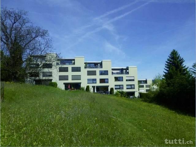 Lichtdurchflutete Maisonette-Attika-Wohnung m