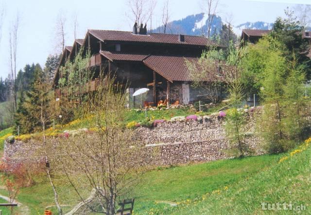 2 ½ Zi-Ferienw. mit Terrasse, eigenem Eingang