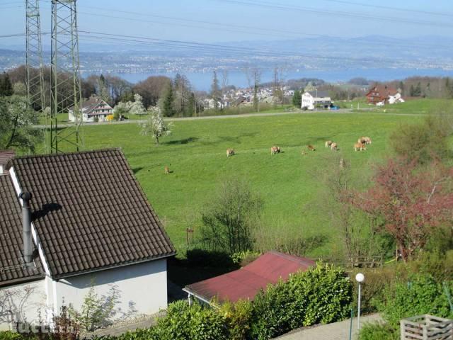 Schönes Reiheneckhaus mit Blick zum Zürichsee