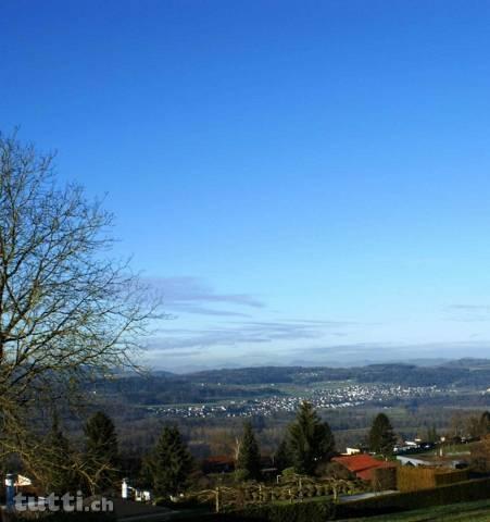 Exklusives Wohnen mit Alpenpanorama-A2