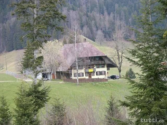 Gemütliche Fewo im Emmental in Trub